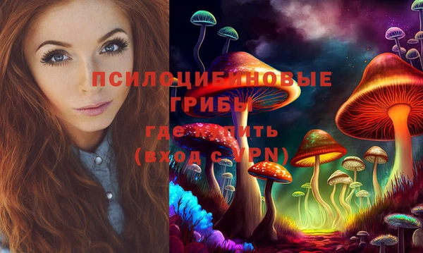 круглые Магас