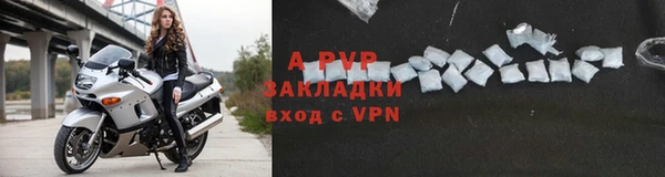 амф Липки